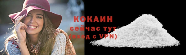 PSILOCYBIN Баксан