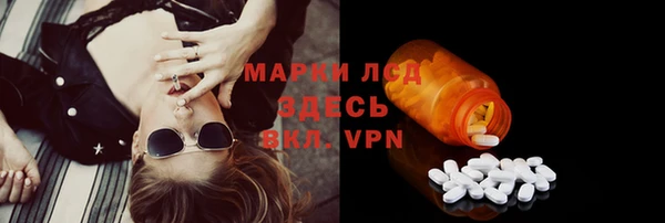 PSILOCYBIN Баксан