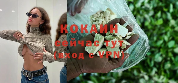 PSILOCYBIN Баксан